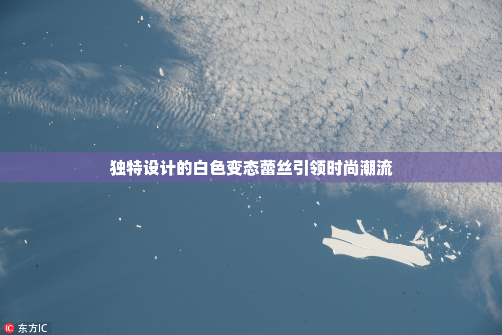 独特设计的白色变态蕾丝引领时尚潮流