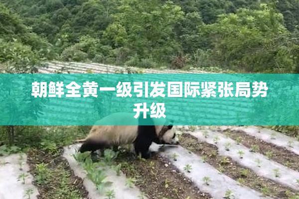 朝鲜全黄一级引发国际紧张局势升级