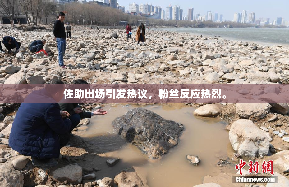佐助出场引发热议，粉丝反应热烈。