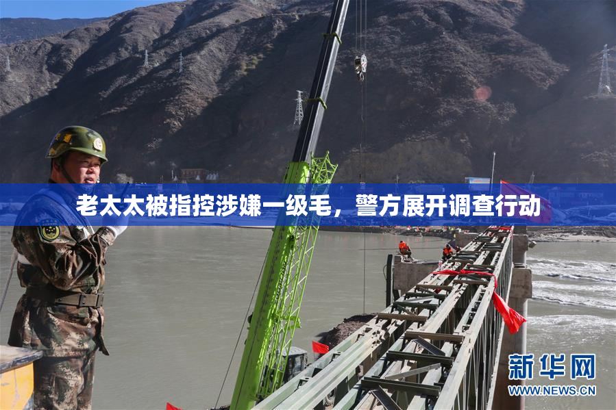 老太太被指控涉嫌一级毛，警方展开调查行动