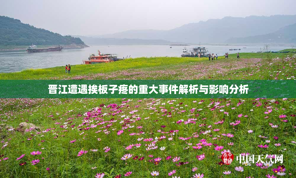 晋江遭遇挨板子疼的重大事件解析与影响分析