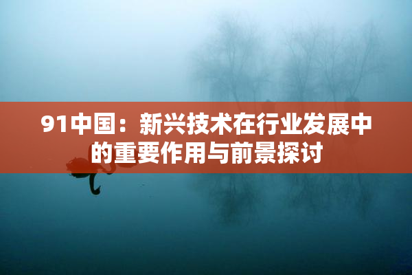 91中国：新兴技术在行业发展中的重要作用与前景探讨