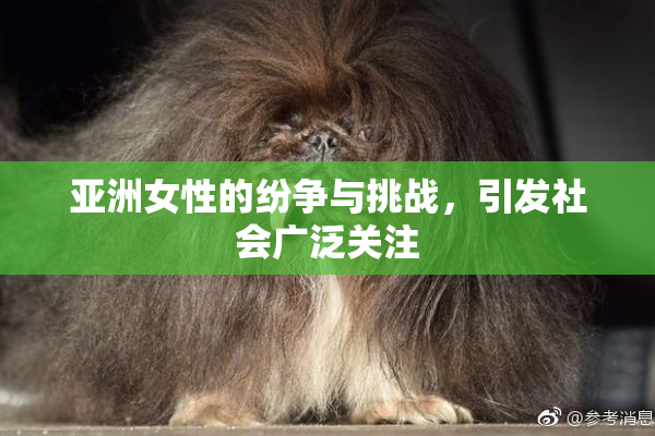 亚洲女性的纷争与挑战，引发社会广泛关注