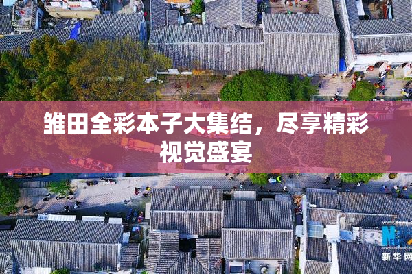 雏田全彩本子大集结，尽享精彩视觉盛宴
