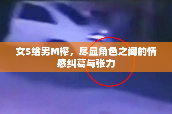 女S给男M榨，尽显角色之间的情感纠葛与张力