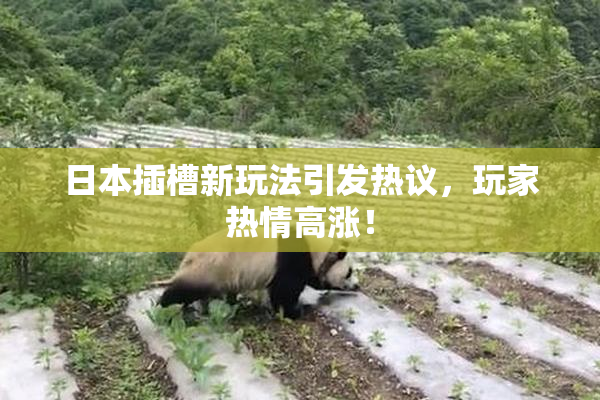 日本插槽新玩法引发热议，玩家热情高涨！