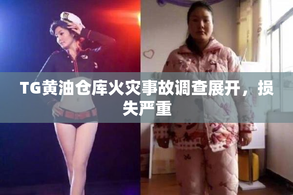 TG黄油仓库火灾事故调查展开，损失严重
