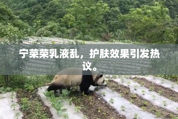 宁荣荣乳液乱，护肤效果引发热议。