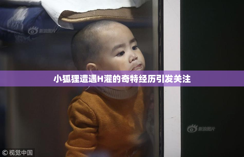 小狐狸遭遇H灌的奇特经历引发关注