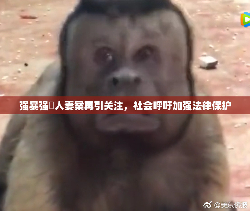 强暴强姦人妻案再引关注，社会呼吁加强法律保护