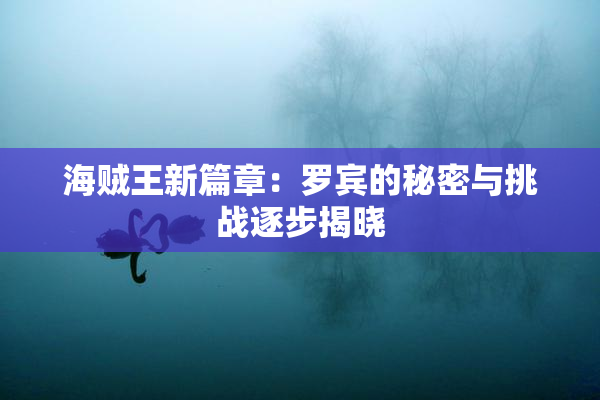 海贼王新篇章：罗宾的秘密与挑战逐步揭晓