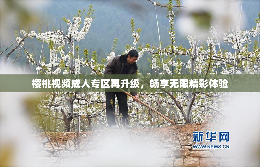 樱桃视频成人专区再升级，畅享无限精彩体验