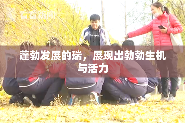 蓬勃发展的瑞，展现出勃勃生机与活力