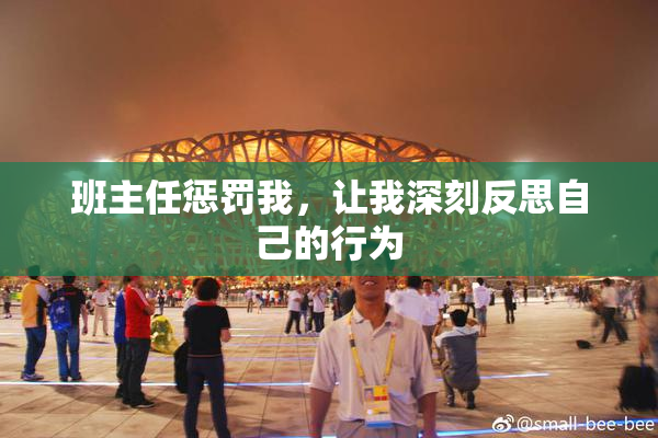 班主任惩罚我，让我深刻反思自己的行为