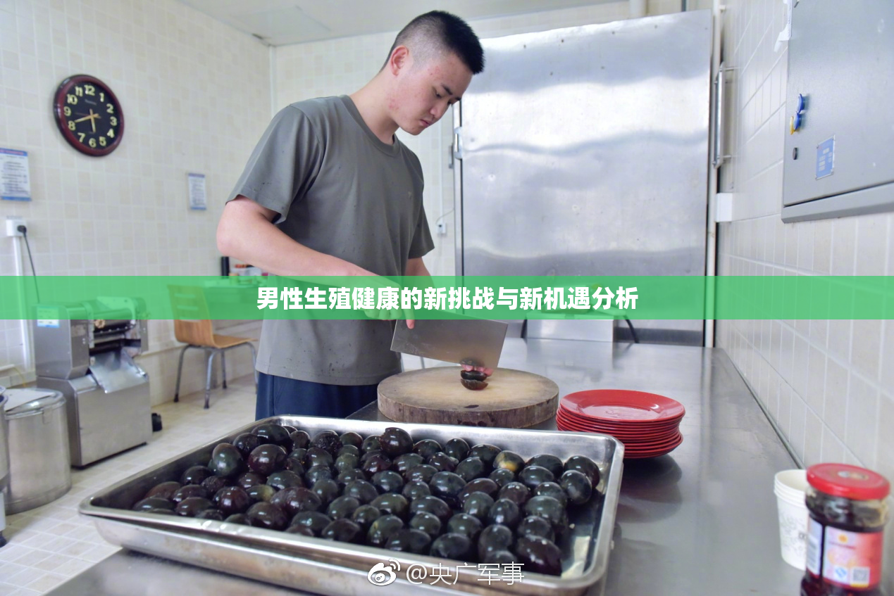 男性生殖健康的新挑战与新机遇分析