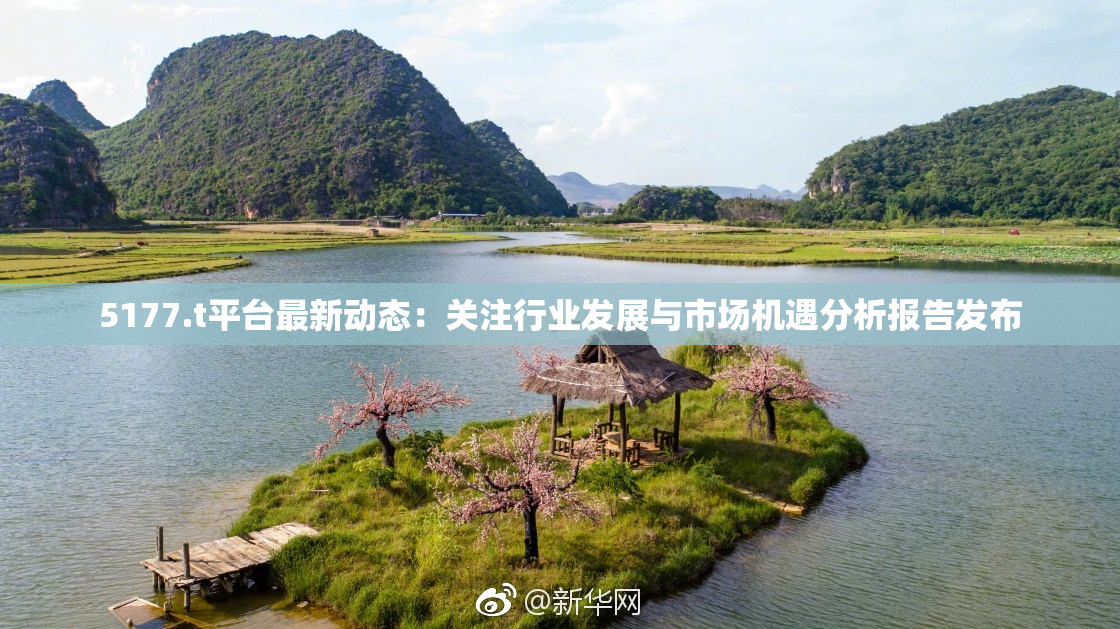5177.t平台最新动态：关注行业发展与市场机遇分析报告发布