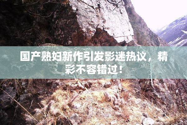 国产熟妇新作引发影迷热议，精彩不容错过！