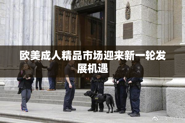 欧美成人精品市场迎来新一轮发展机遇