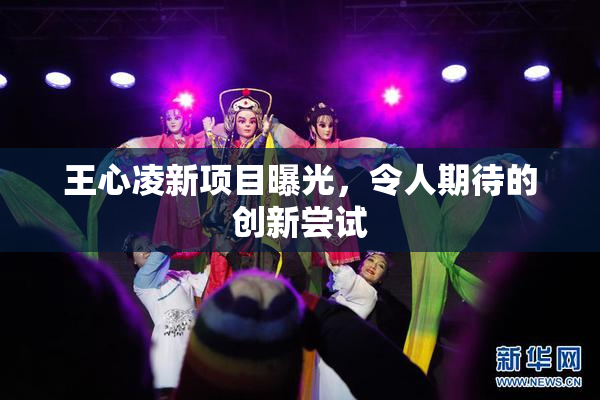王心凌新项目曝光，令人期待的创新尝试