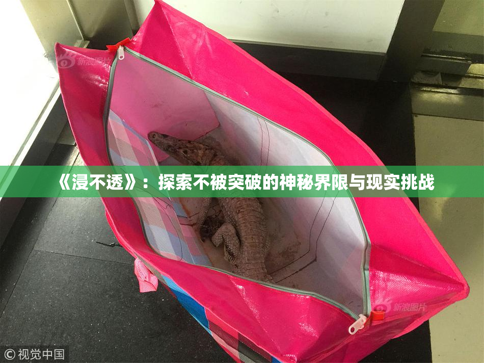 《浸不透》：探索不被突破的神秘界限与现实挑战