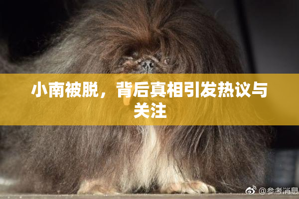 小南被脱，背后真相引发热议与关注