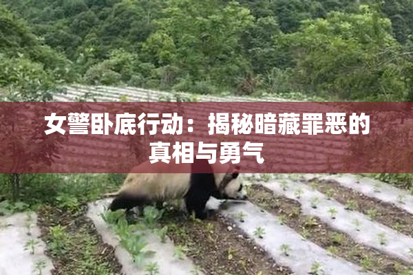 女警卧底行动：揭秘暗藏罪恶的真相与勇气