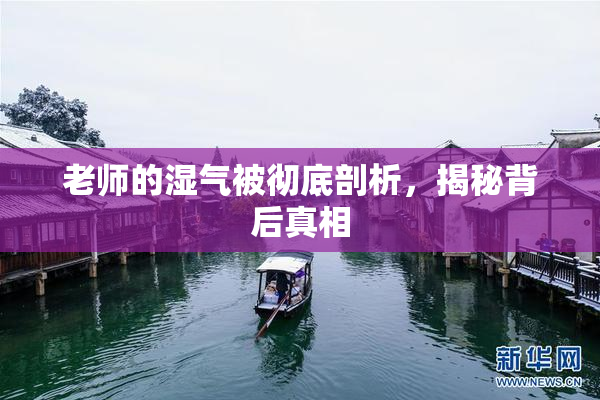 老师的湿气被彻底剖析，揭秘背后真相