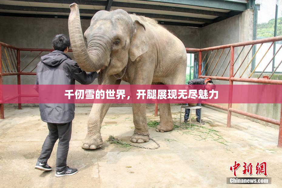 千仞雪的世界，开腿展现无尽魅力