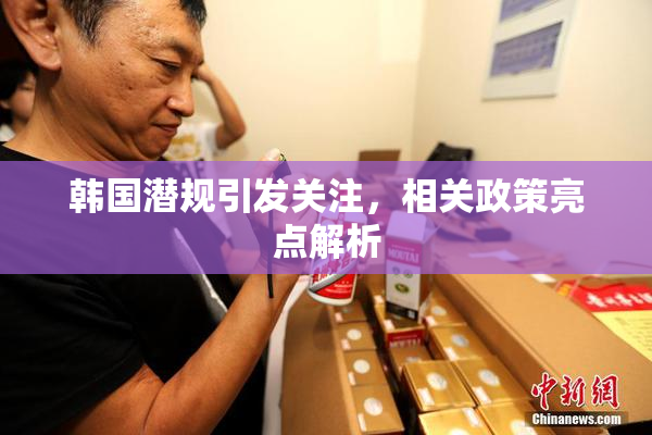 韩国潜规引发关注，相关政策亮点解析