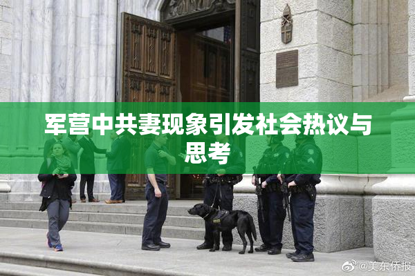 军营中共妻现象引发社会热议与思考