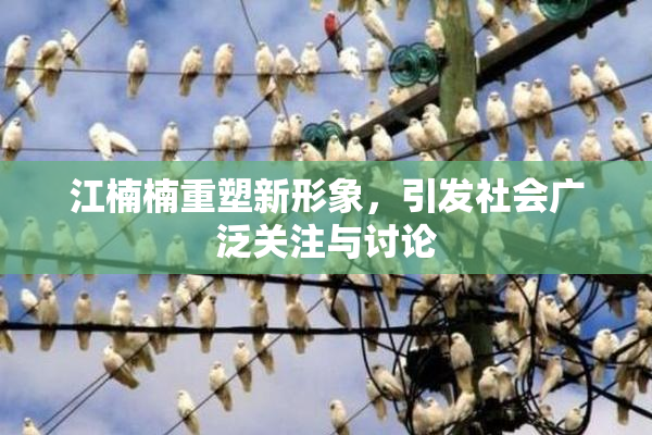 江楠楠重塑新形象，引发社会广泛关注与讨论