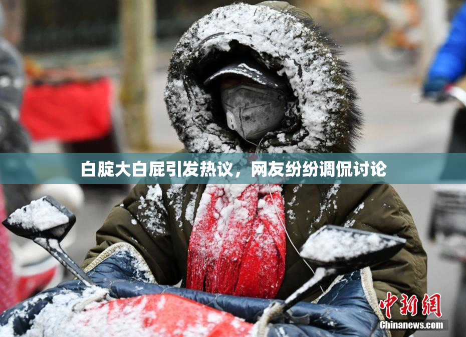 白腚大白屁引发热议，网友纷纷调侃讨论