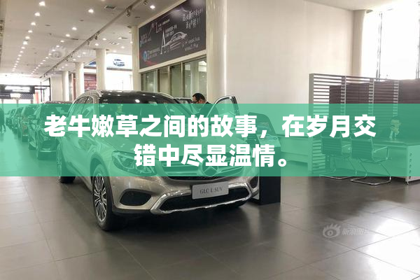 老牛嫩草之间的故事，在岁月交错中尽显温情。