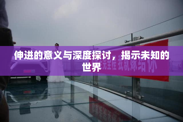 伸进的意义与深度探讨，揭示未知的世界