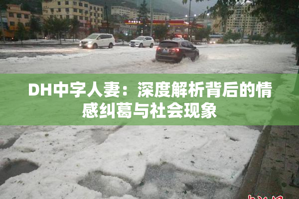 DH中字人妻：深度解析背后的情感纠葛与社会现象