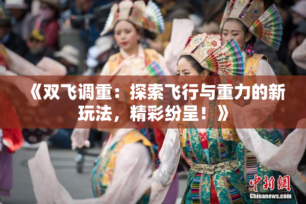《双飞调重：探索飞行与重力的新玩法，精彩纷呈！》