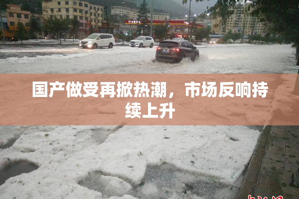 国产做受再掀热潮，市场反响持续上升
