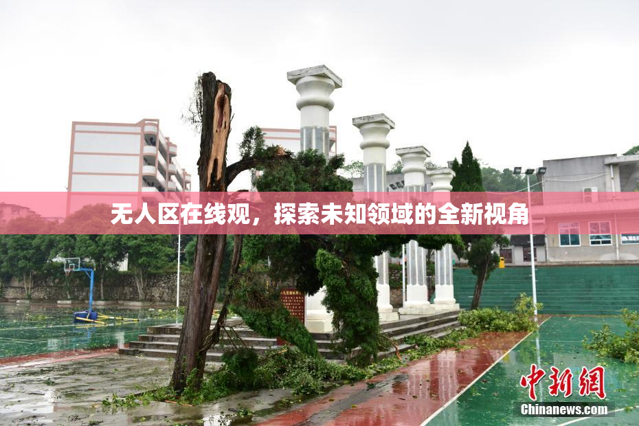 无人区在线观，探索未知领域的全新视角