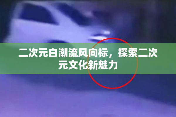 二次元白潮流风向标，探索二次元文化新魅力