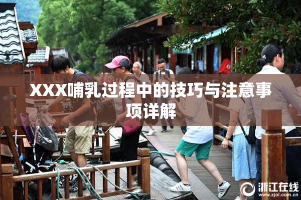 XXX哺乳过程中的技巧与注意事项详解