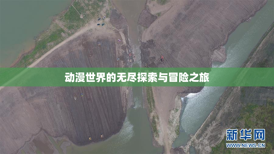 动漫世界的无尽探索与冒险之旅