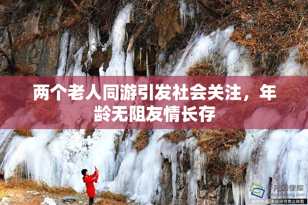两个老人同游引发社会关注，年龄无阻友情长存