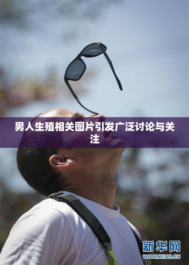 男人生殖相关图片引发广泛讨论与关注