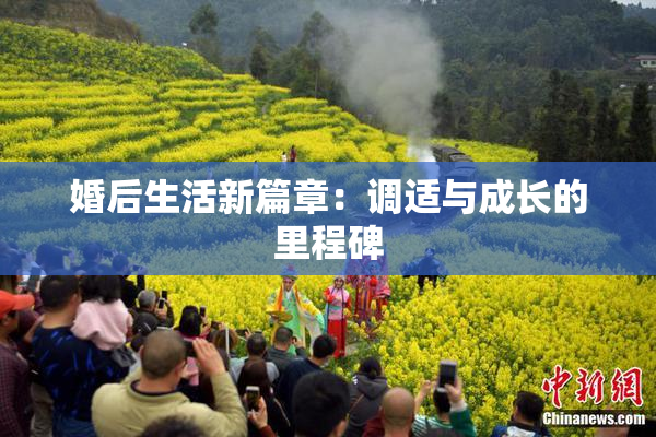 婚后生活新篇章：调适与成长的里程碑