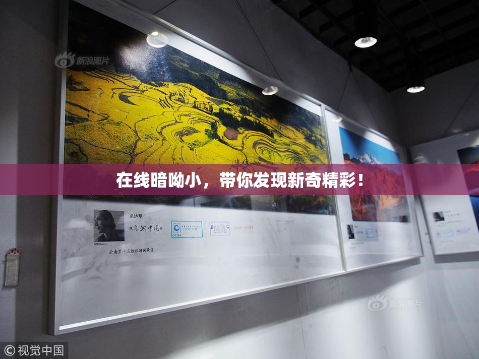 在线暗呦小，带你发现新奇精彩！