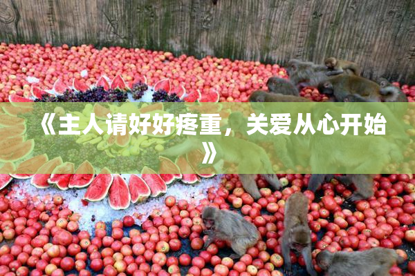 《主人请好好疼重，关爱从心开始》