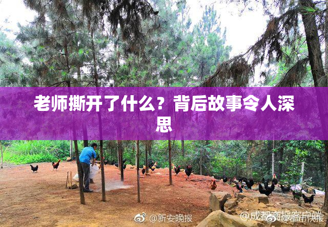 老师撕开了什么？背后故事令人深思