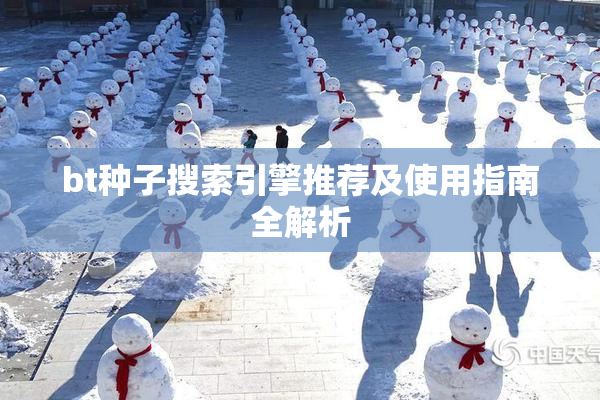 bt种子搜索引擎推荐及使用指南全解析