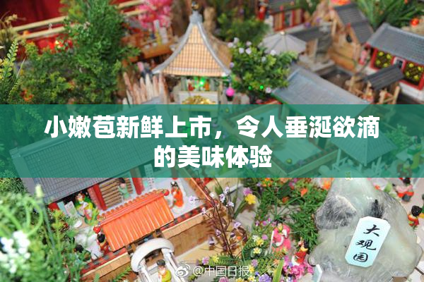 小嫩苞新鲜上市，令人垂涎欲滴的美味体验
