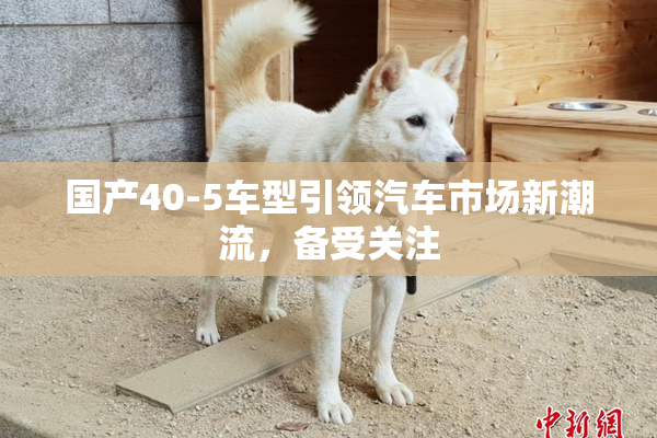 国产40-5车型引领汽车市场新潮流，备受关注